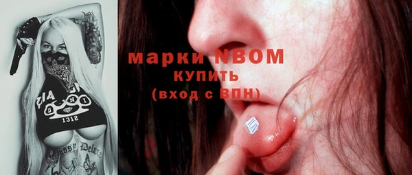 индика Вяземский