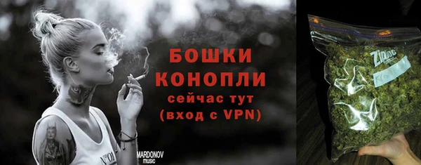 шишки Вязьма