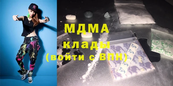 индика Вяземский