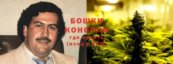 индика Вяземский