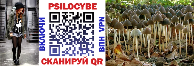mega вход Гусиноозёрск Псилоцибиновые грибы MAGIC MUSHROOMS